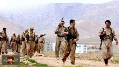 التدخل العسكري بإيران: ماجد القيسي يحذر من صراع قومي والإنزال الجوي الأقرب