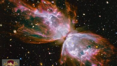 جليد سديم الفراشة: اكتشاف مدهش يتحدى النجوم الملتهبة