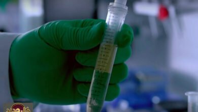 المنشطات الكينية: إيقاف 27 رياضياً يهز سمعة الرياضة الوطنية