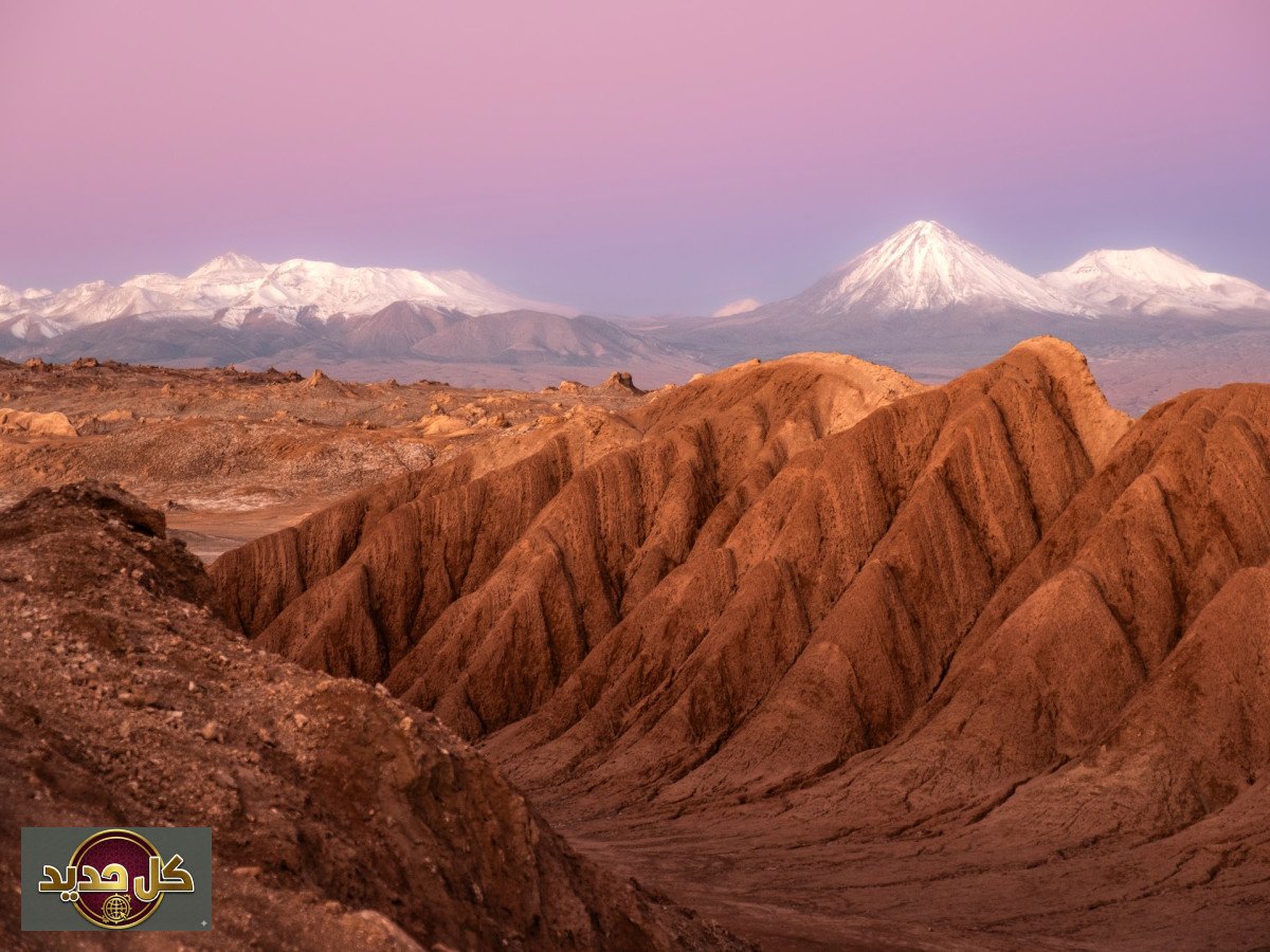 الحياة في الصحاري: اكتشاف مذهل لمرونة الكائنات في أشد البيئات جفافًا
