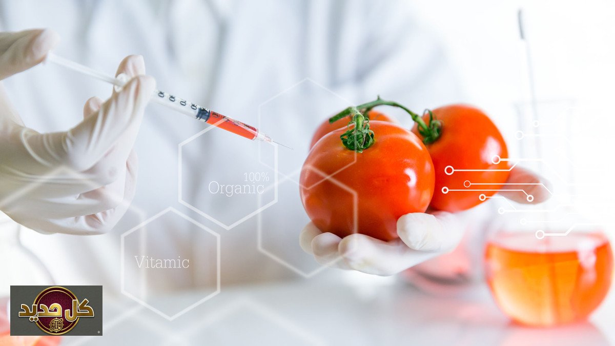 مخلفات الأدوية النفسية: اكتشاف مقلق في أوراق الطماطم والجزر