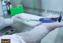 النزيف الداخلي: تقنية رغوية ثورية تسيطر عليه خلال دقائق