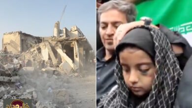 قصف مدرسة شجرة طيبة: رواية طفلة من تحت الأنقاض تهز الأوساط