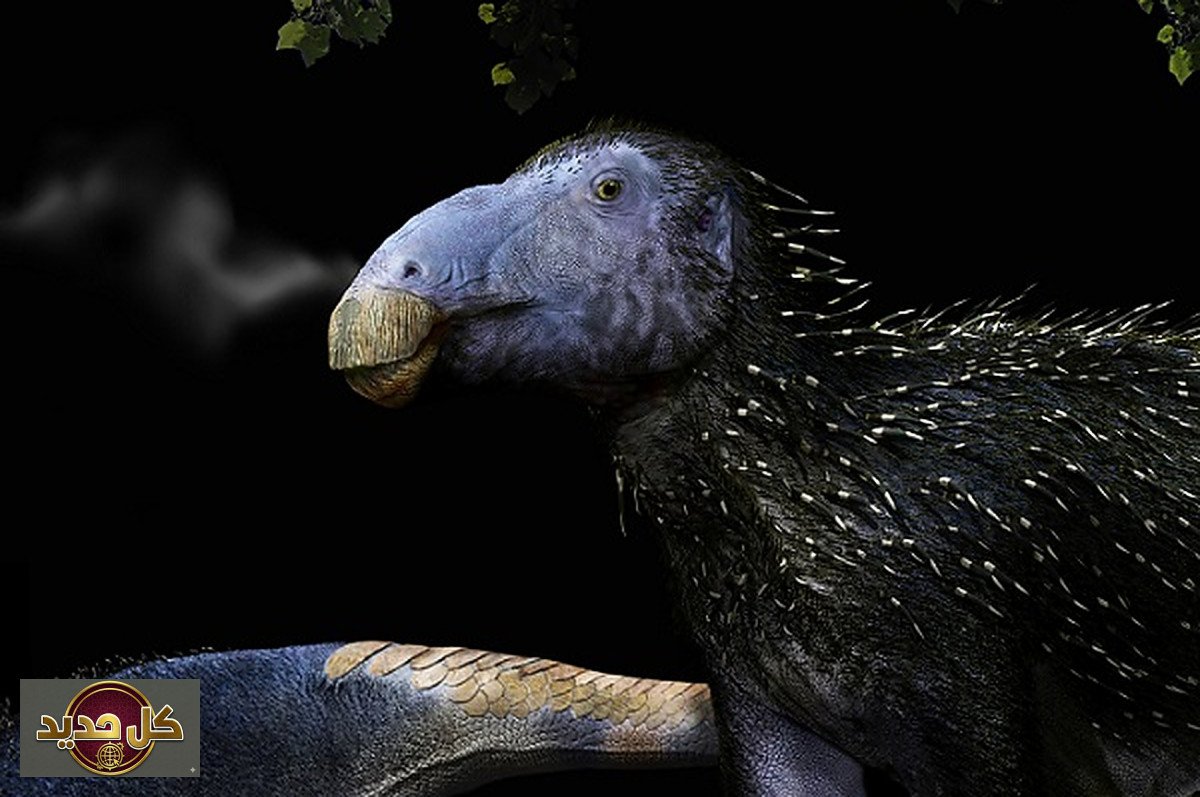 ديناصور الصين: اكتشاف مذهل عمره 125 مليون سنة بأشواك غريبة يثير حيرة العلماء