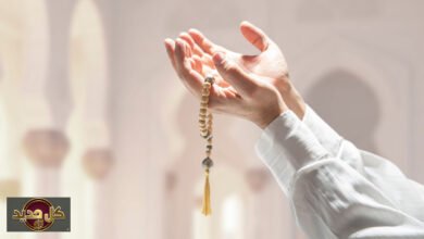 رحلة الروح: سؤال "هل وصلت؟".. بوصلة لا تتوقف نحو المعنى الأسمى