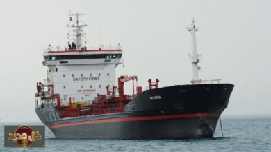 أمن مضيق هرمز محور دعوات روسيا والصين لتهدئة التوترات الإقليمية