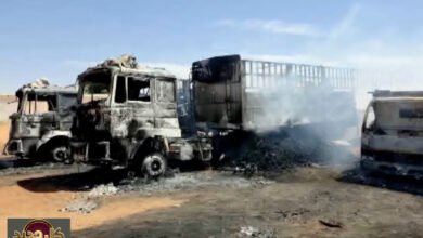 ضربات الجيش السوداني المباغتة: تقدم حاسم في كردفان ودارفور