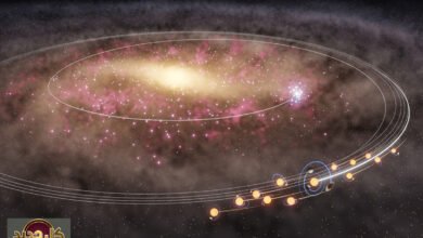 هجرة الشمس الكبرى: كيف غادرت نجمتنا الأم مركز درب التبانة مفسحة المجال للحياة