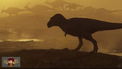 اكتشاف ديناصور تيرانوصور جديد: عظمة تكشف وحشًا أسطوريًا بعمر 74 مليون عام