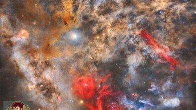 سدم الشتاء تكشف أسرار الكون: الجوزاء والثريا في لوحة غبار وضوء