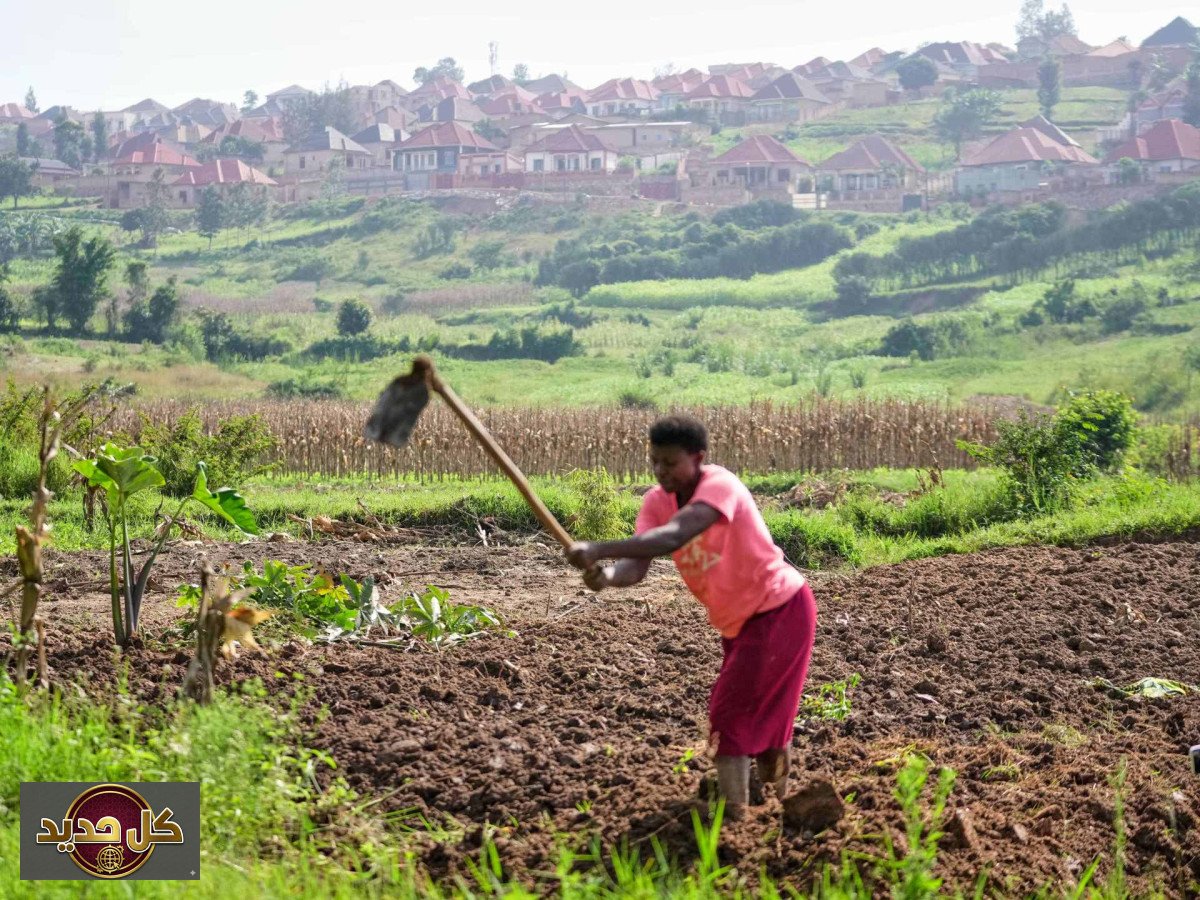 أفريقيا والحرب: كيف تدفع القارة السمراء ثمن صراعات بعيدة؟