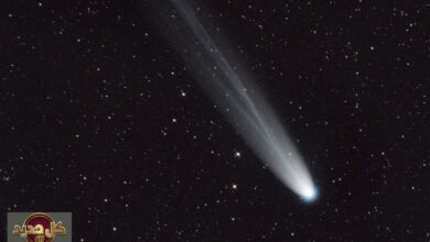 مذنب مابس: ترقب سماوي بين الاختفاء والظهور المدهش