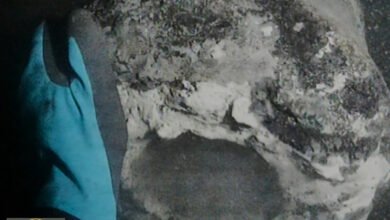 سفينة حربية دنماركية نيلسون: اكتشاف أثري يهز أعماق كوبنهاغن بعد قرنين