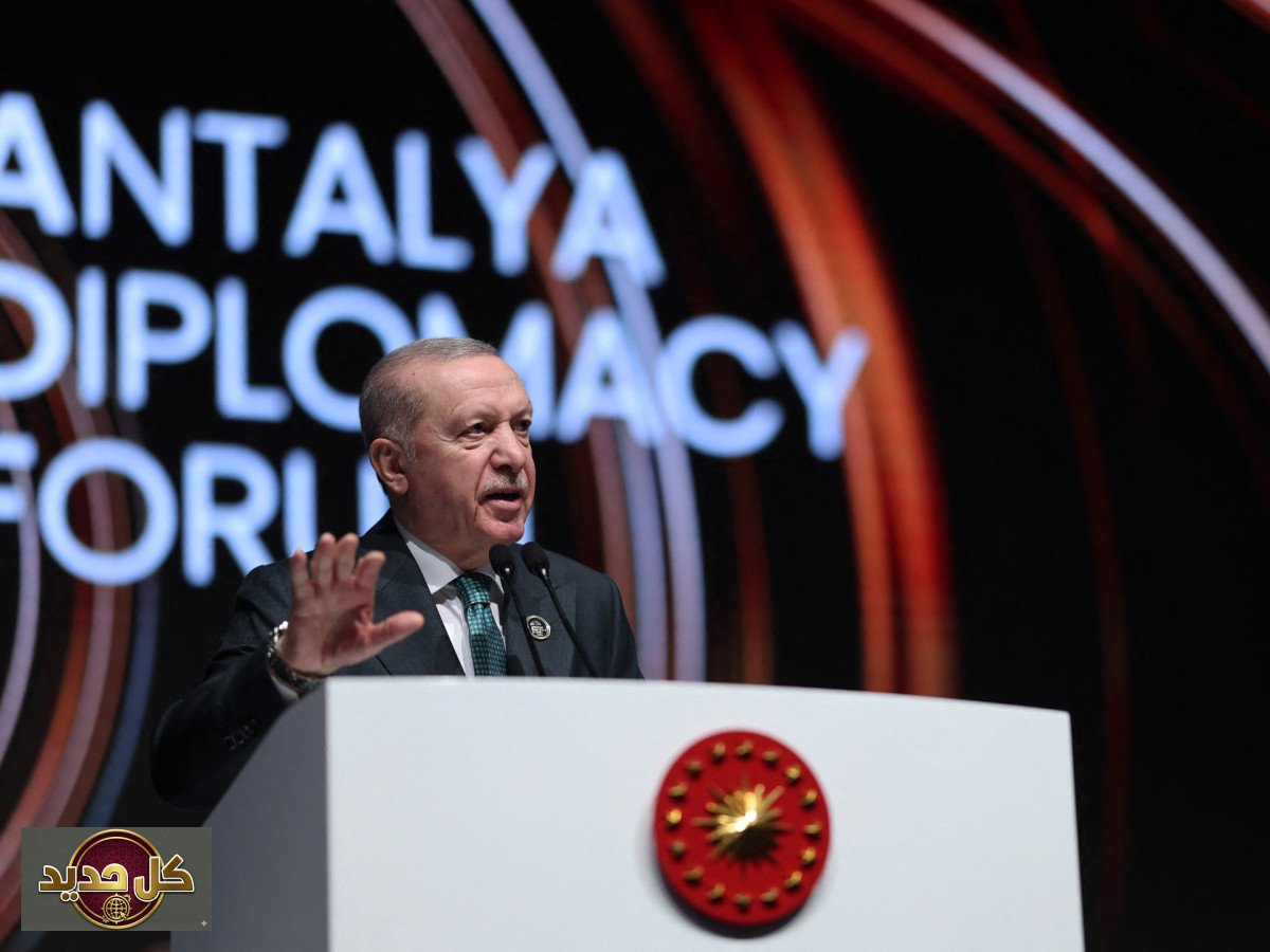 حرية الملاحة: أردوغان يدافع عن وصول دول الخليج للبحار المفتوحة