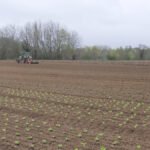 تداعيات الحرب في فرنسا: ضغوط اقتصادية متصاعدة ترهق قطاعات الإنتاج