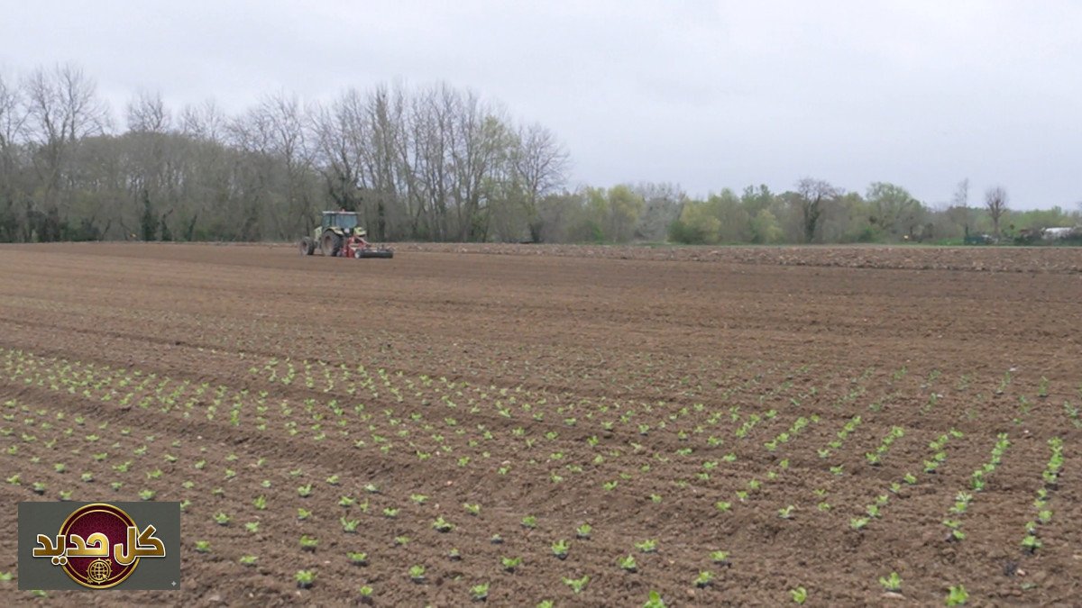 تداعيات الحرب في فرنسا: ضغوط اقتصادية متصاعدة ترهق قطاعات الإنتاج