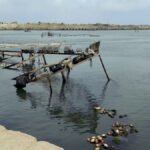 صيادو غزة في عين العاصفة: تحديات البقاء والصيد المستمرة