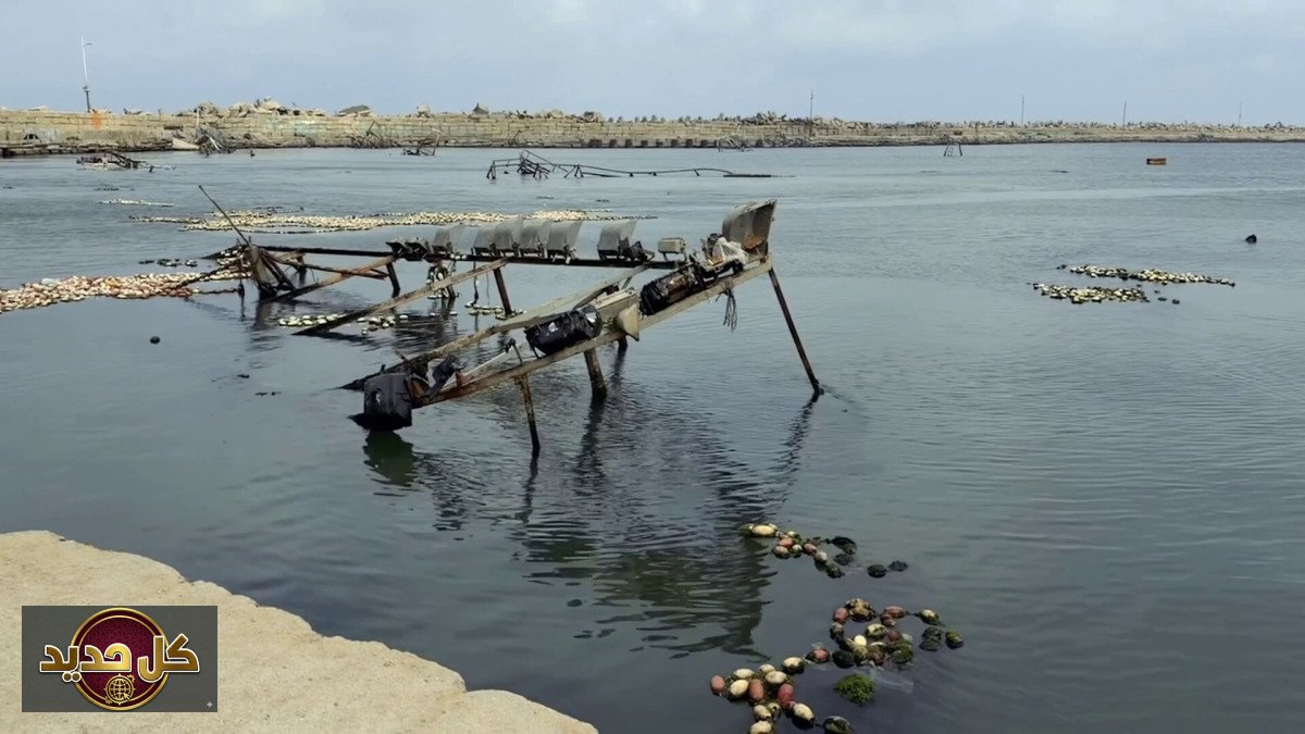 صيادو غزة في عين العاصفة: تحديات البقاء والصيد المستمرة