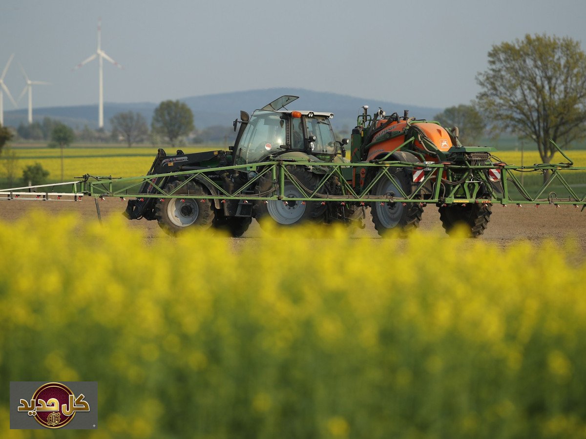 أسعار الغذاء ألمانيا: تحذيرات من ارتفاع وشيك بسبب تكاليف الطاقة