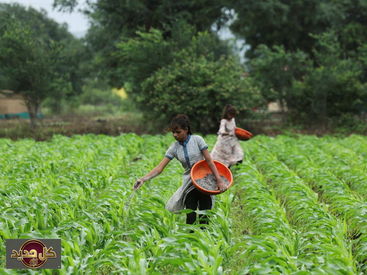 أزمة الأسمدة تلوح بالأفق: الأمم المتحدة تحذر من كارثة غذائية عالمية