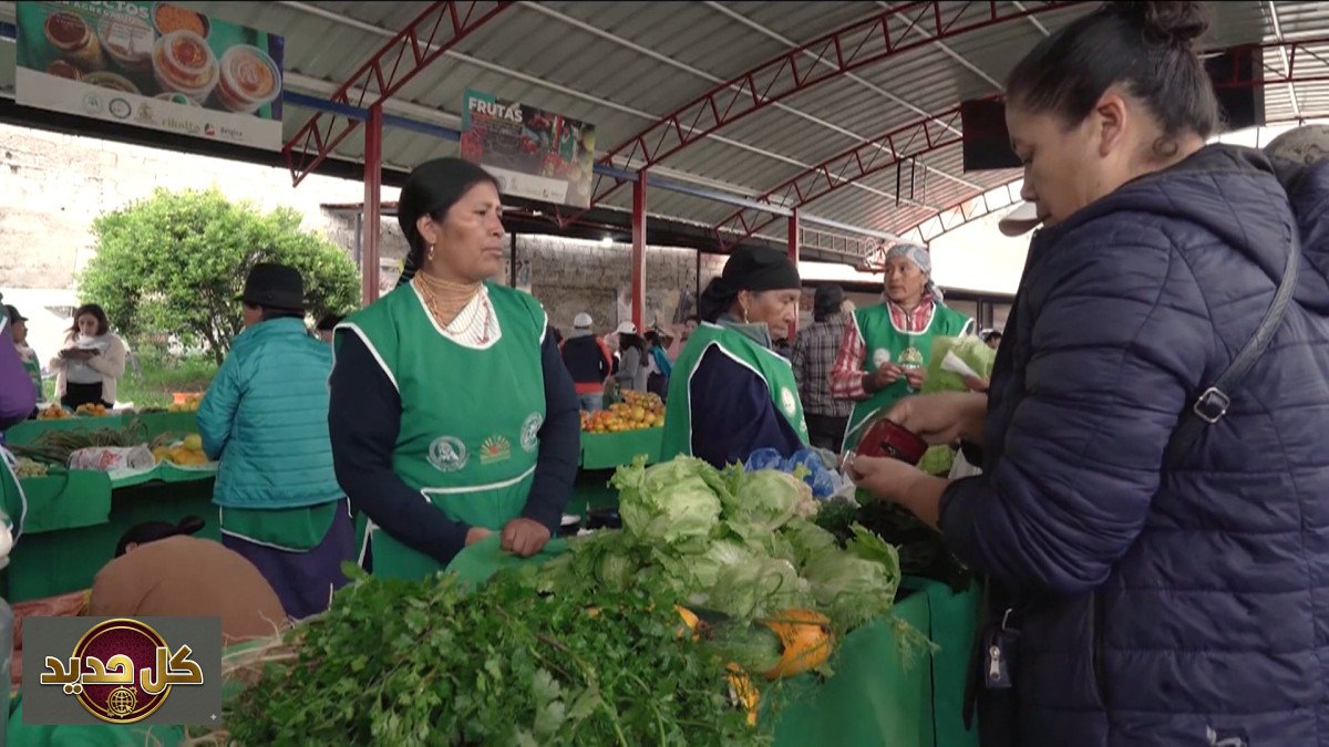 أسعار الغذاء العالمية ترتفع: من مضيق هرمز إلى المائدة.. أسباب وتداعيات