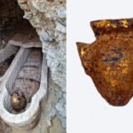 ألسنة ذهبية: كنوز البهنسا تعود من نيويورك وتكشف أسرار الموتى