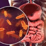 بكتيريا قوة العضلات: اكتشاف مذهل يعزز وظائفها بنسبة تصل إلى 30%