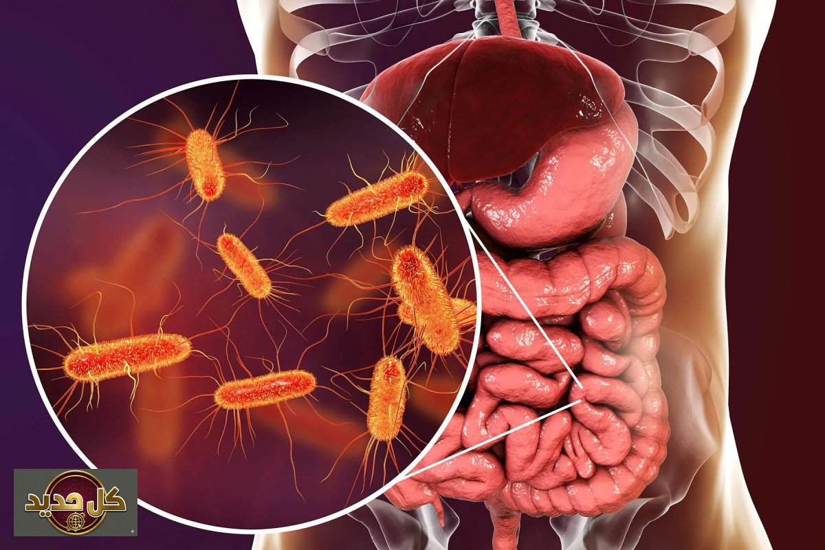 بكتيريا قوة العضلات: اكتشاف مذهل يعزز وظائفها بنسبة تصل إلى 30%