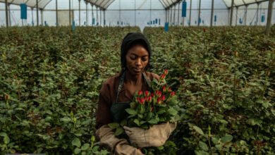 تداعيات حرب إيران: من الزهور لبلاي ستيشن.. تفاصيل الأزمة العالمية