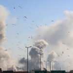 عام قتال إسرائيل: توقعات أمنية مقلقة للعام 2026