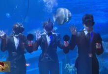 تعيين تحت الماء: موظفون يابانيون يستلمون عقودهم بين الأسماك