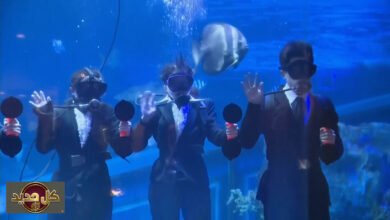 تعيين تحت الماء: موظفون يابانيون يستلمون عقودهم بين الأسماك