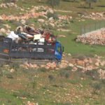 نزوح الأغوار: عائلات فلسطينية تواجه مصيراً مجهولاً وسط تصاعد اعتداءات المستوطنين