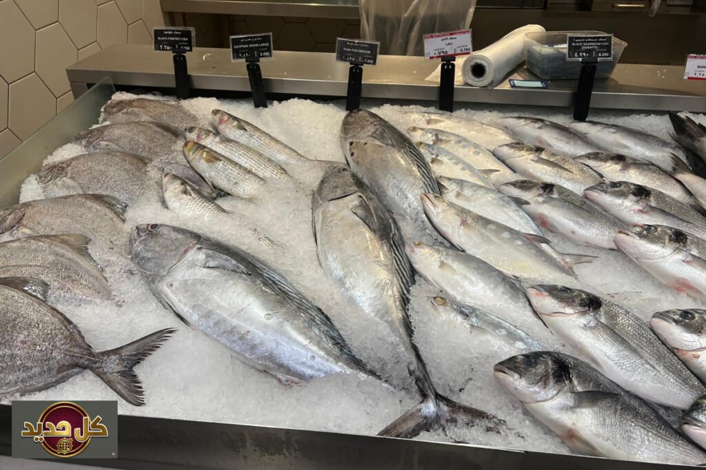 صيادو الكويت: حصن غذائي في زمن التحديات الإقليمية