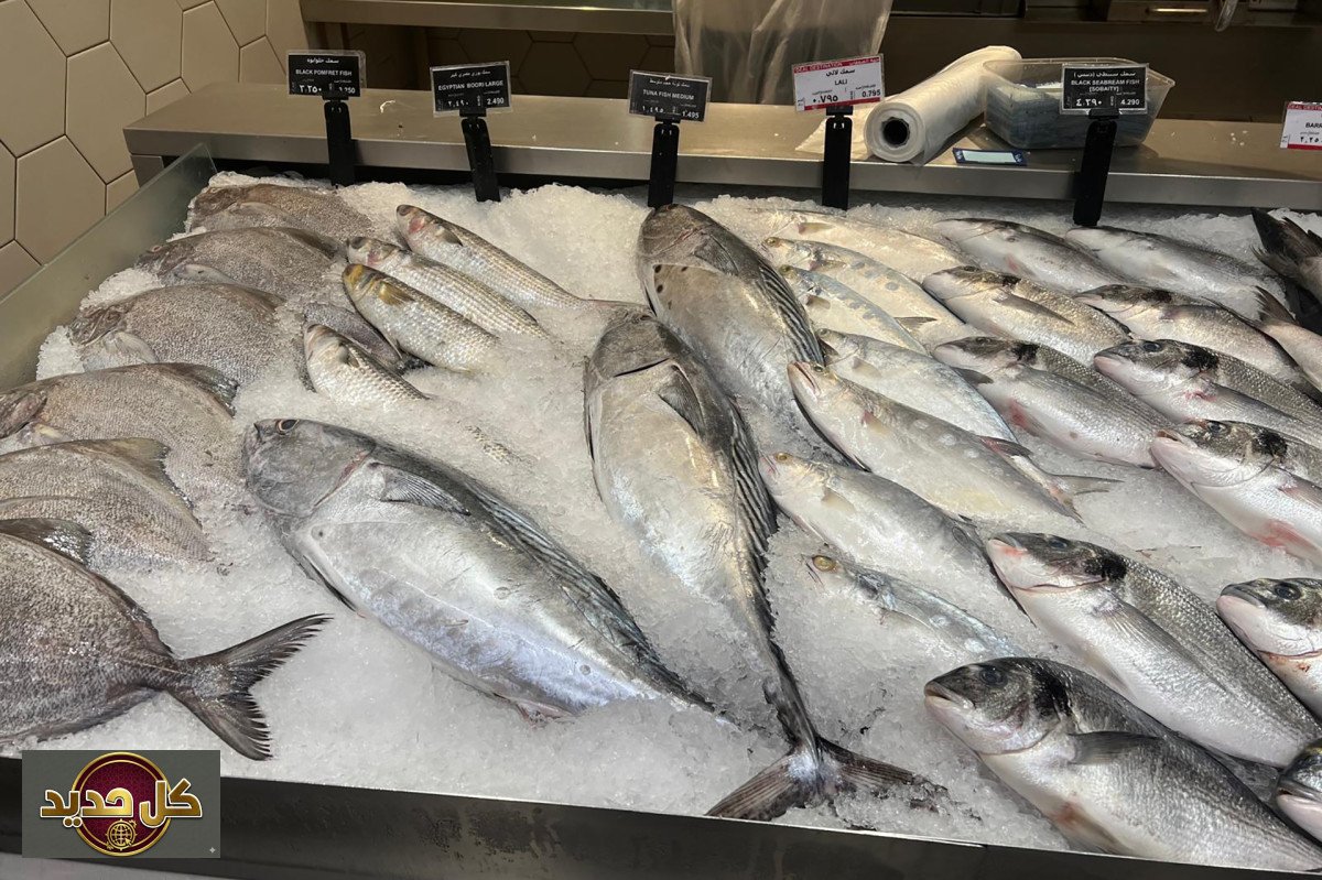 صيادو الكويت: حصن غذائي في زمن التحديات الإقليمية