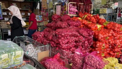 الاقتصاد الماليزي وتداعيات الصراعات العالمية: خفض دعم الوقود يثير قلق المواطنين