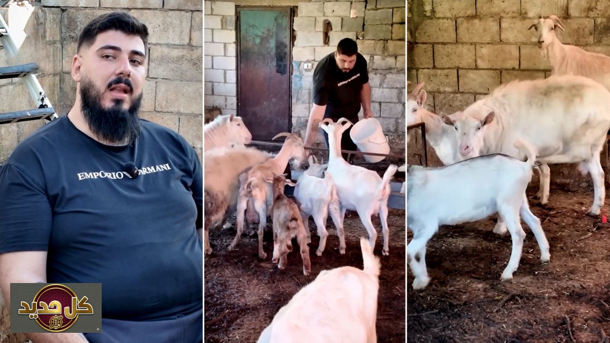 صمود لبناني: حكاية محمد شريم وعصا الراعي في مواجهة التحديات