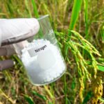 الغاز الطبيعي والخبز: كيف يتحكم الوقود في قوت يومك؟