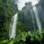 سمكة تتحدى الجاذبية: اكتشاف مذهل لقدرة الشيلير على تسلق شلال 15 متراً