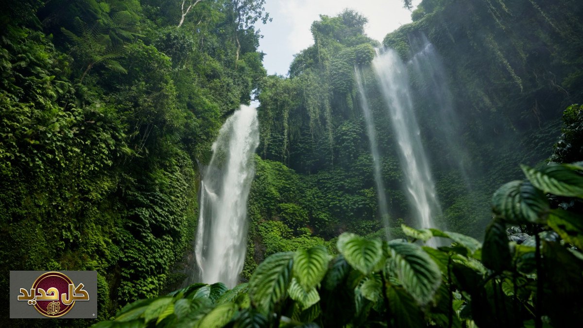 سمكة تتحدى الجاذبية: اكتشاف مذهل لقدرة الشيلير على تسلق شلال 15 متراً