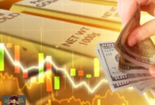 استثمار صغار المستثمرين: 4 قواعد ذهبية لمواجهة تقلبات السوق بنجاح