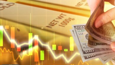 استثمار صغار المستثمرين: 4 قواعد ذهبية لمواجهة تقلبات السوق بنجاح