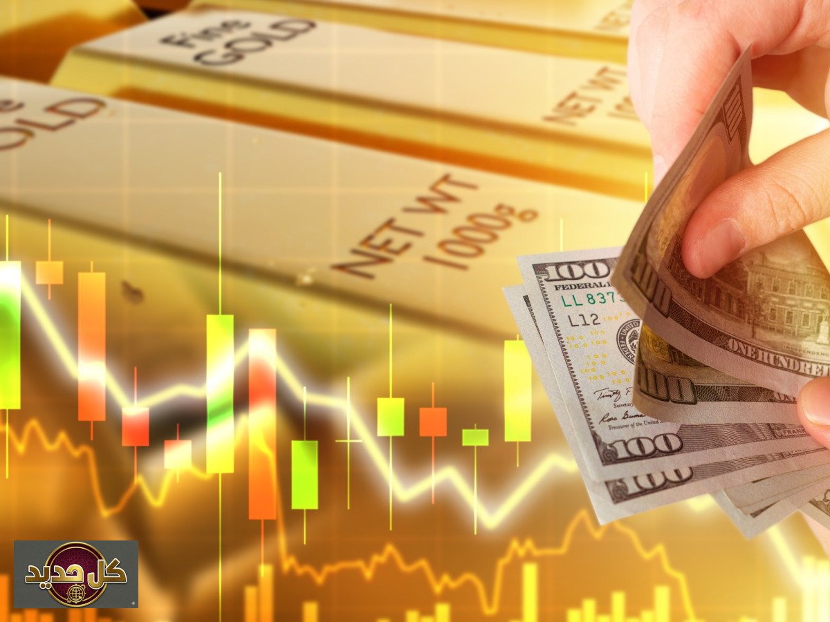 استثمار صغار المستثمرين: 4 قواعد ذهبية لمواجهة تقلبات السوق بنجاح