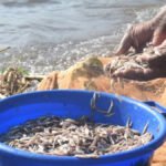 نساء بحيرة فيكتوريا: ثورة نسائية تكسر المحظورات في عالم الصيد