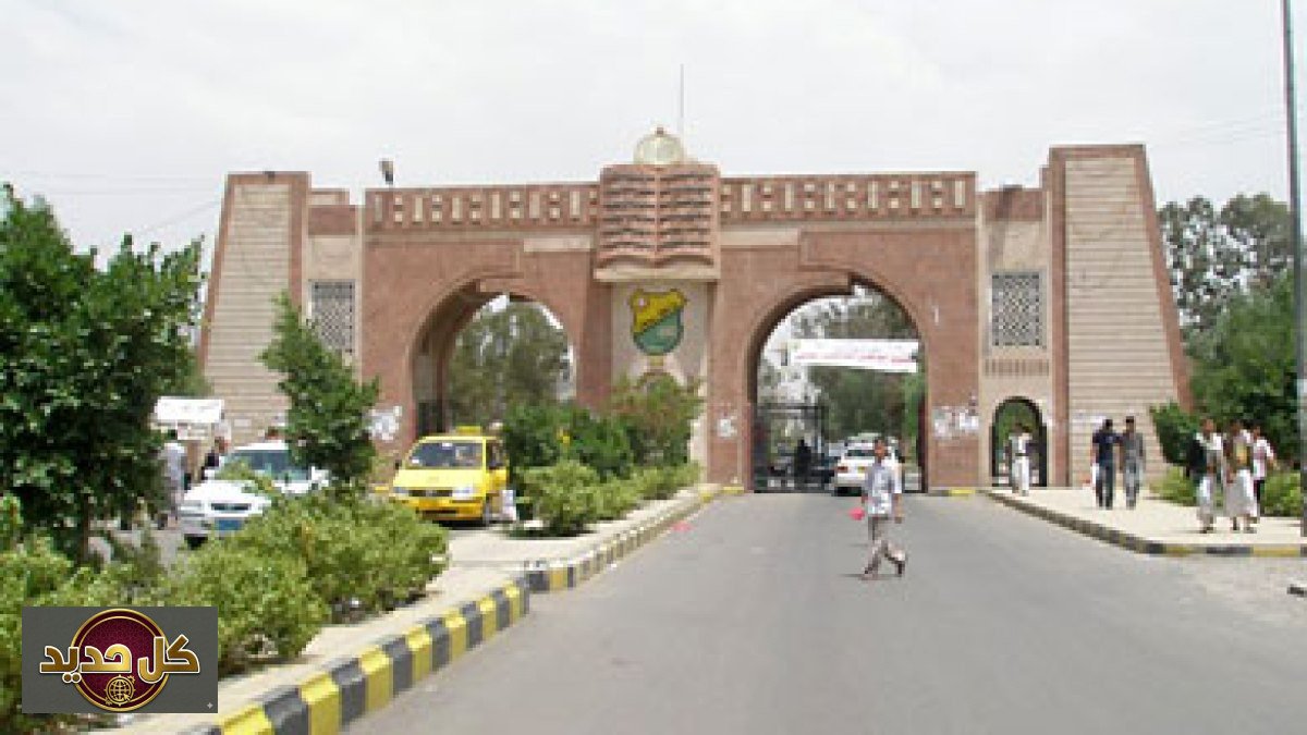 الفلسفة في اليمن: كيف أثرت الصراعات السياسية على التعليم الأكاديمي والحياة الفكرية