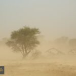 غبار الصحراء يسرّع تسخين الكوكب: دراسة حديثة تكشف عن تأثير مضاعف ومثير للقلق