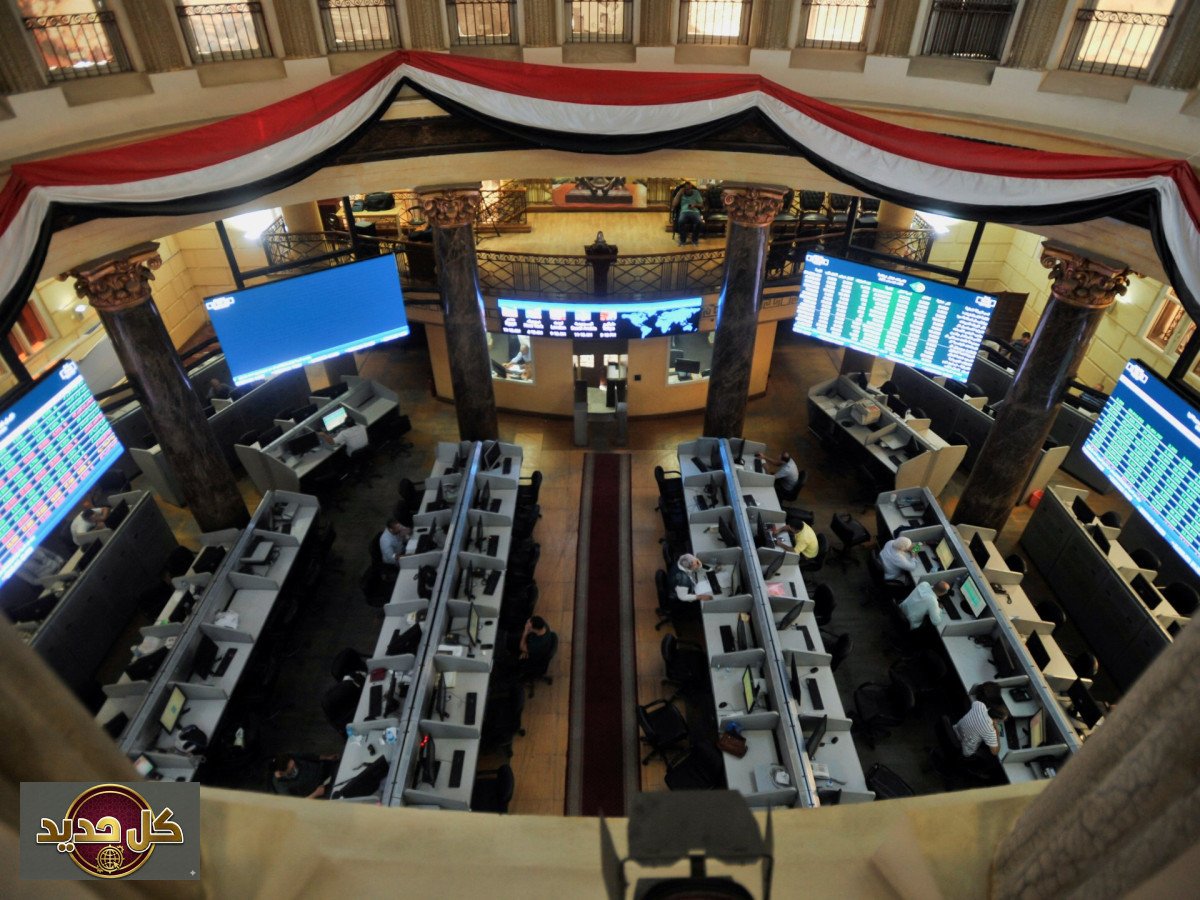 طرح أسهم مصر للتأمينات: EFG Hermes يقود الاكتتاب في بورصة القاهرة