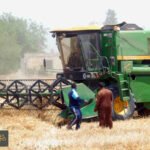 صادرات الأسمدة المصرية: مصر تفرض رسومًا جديدة لتنظيم السوق