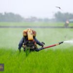 الأمن الغذائي العالمي: حرب إيران تهدد 10 مليارات وجبة أسبوعياً وتصعد مخاطر الجوع