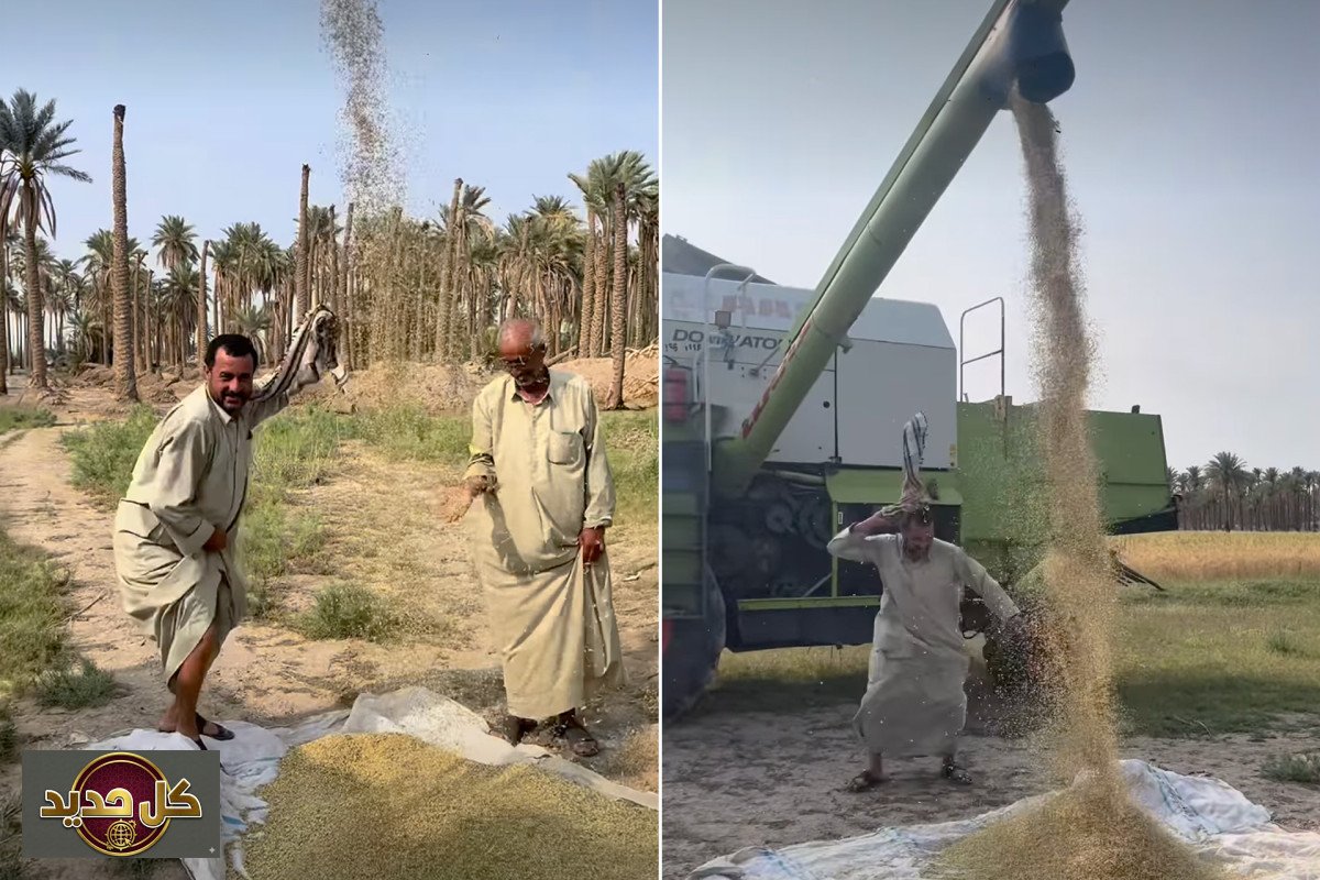 رقصة الفلاح العراقي: احتفال عفوي بالحصاد يخطف قلوب الملايين